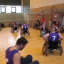 Obraz 003